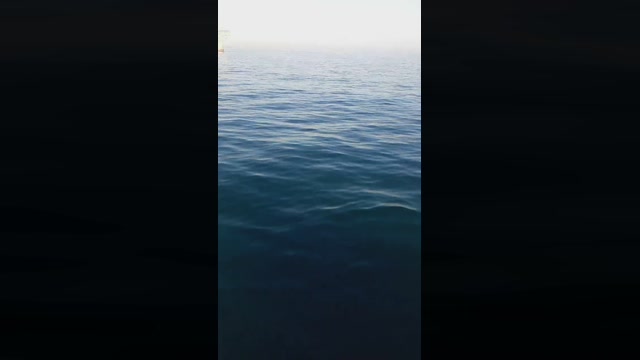 sexilaurine  23-07-2022